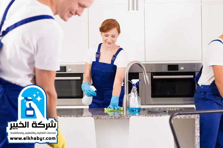 شركة تنظيف في العين