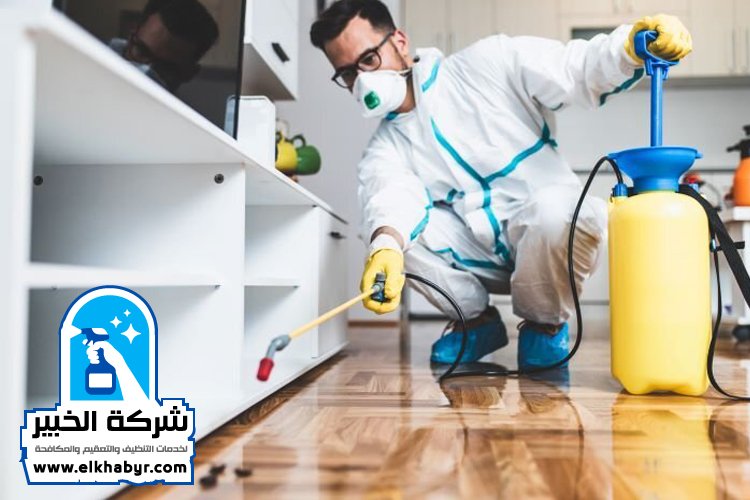 شركة مكافحة السوس في العين 