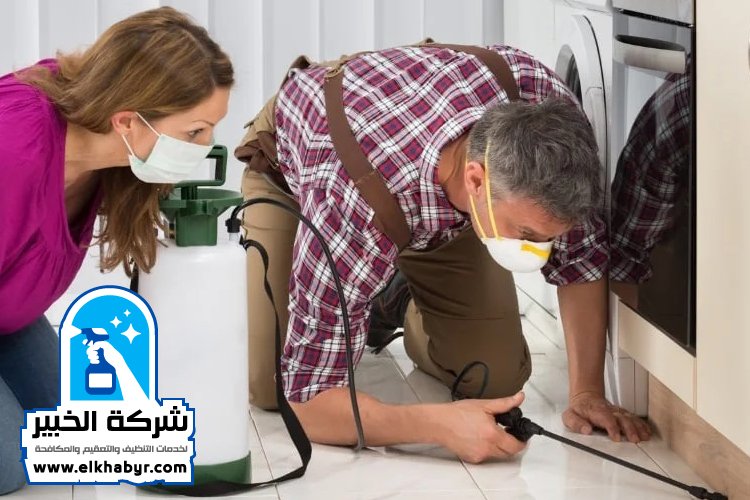 شركة مكافحة حشرات في الباهية