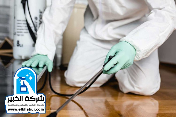 شركة مكافحة حشرات في الباهية