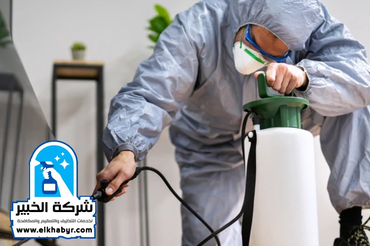 شركة مكافحة حشرات في الراحة