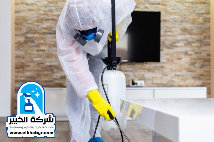 شركة مكافحة حشرات في ابوظبي