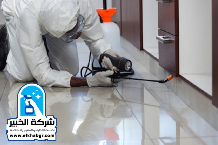 شركة مكافحة حشرات في العين