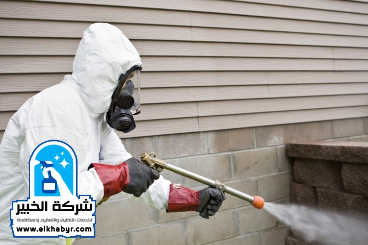 شركة مكافحة حشرات في العين