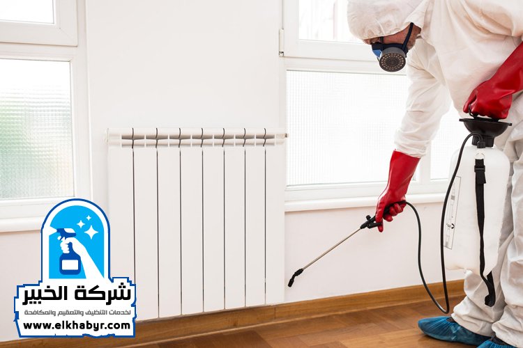 شركة مكافحة حشرات في ابوظبي