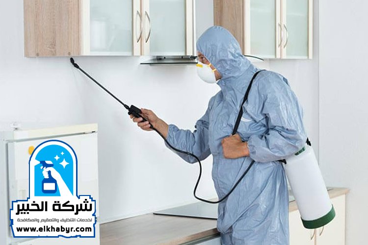 شركة مكافحة حشرات في ابوظبي