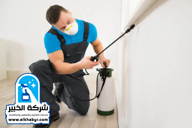 شركة مكافحة الرمة في الرحبة 