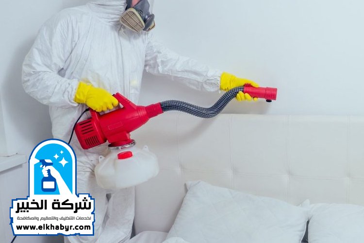 مكافحة بق الفراش