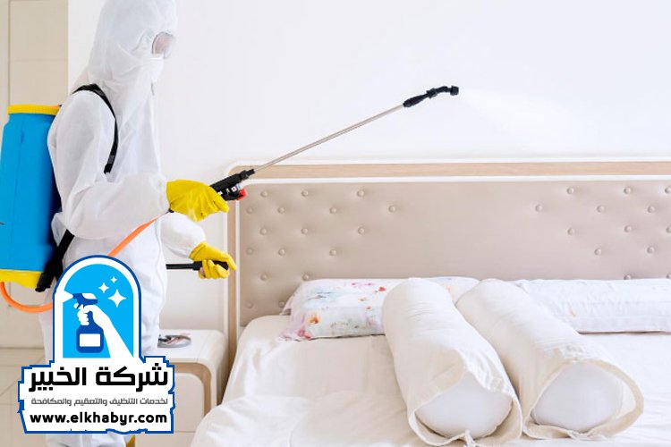 مكافحة بق الفراش