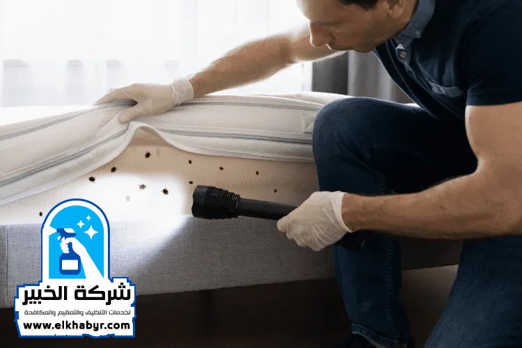 مكافحة بق الفراش