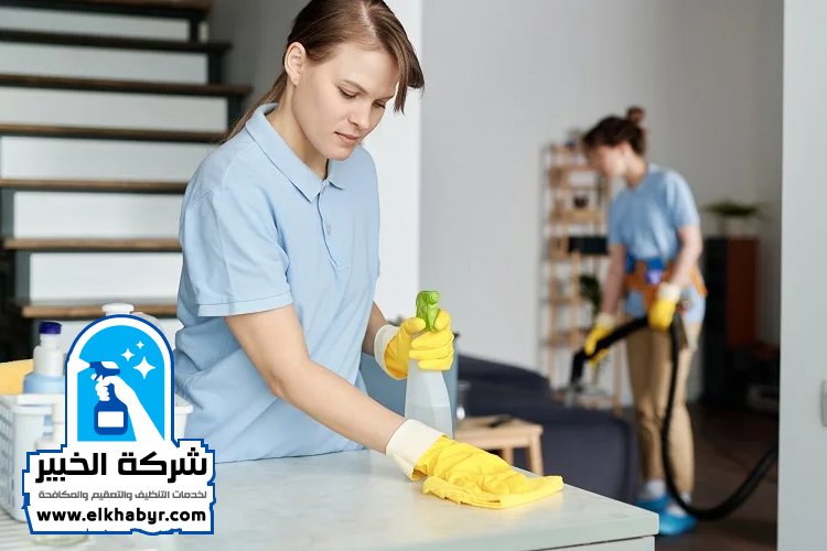 شركة تنظيف منازل