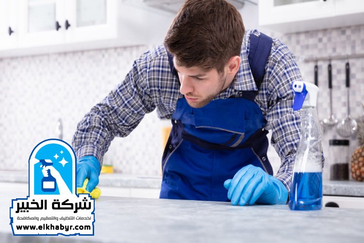 شركة تنظيف فلل في الباهية